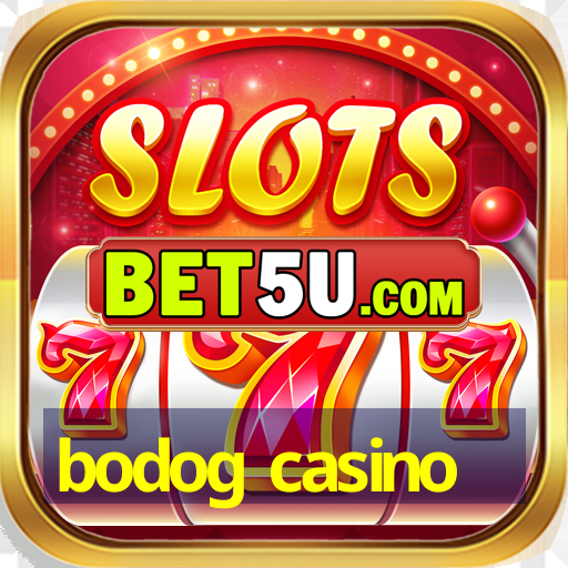 bodog casino